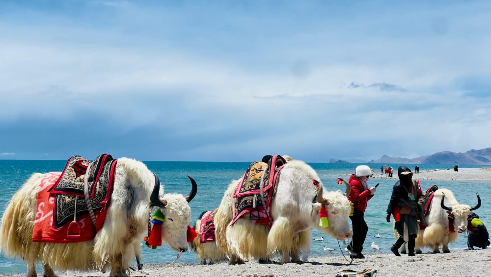Tibet Motorbike Tour