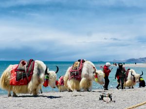 Tibet Motorbike Tour