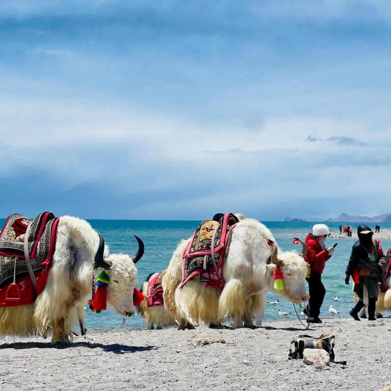 Tibet Motorbike Tour